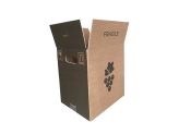 Carton 12x75 cl Europa "Feuille Vigne" - 304x228x315 mm / Droites, EB, Bl/br